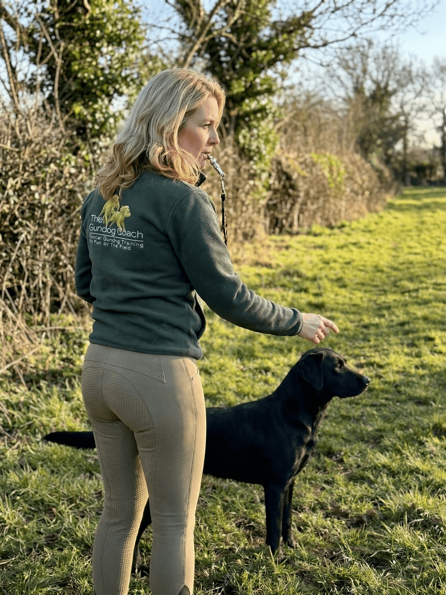 The Gundog Coach handler working with a black gundog